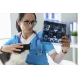 exames de imagem para diagnóstico veterinário